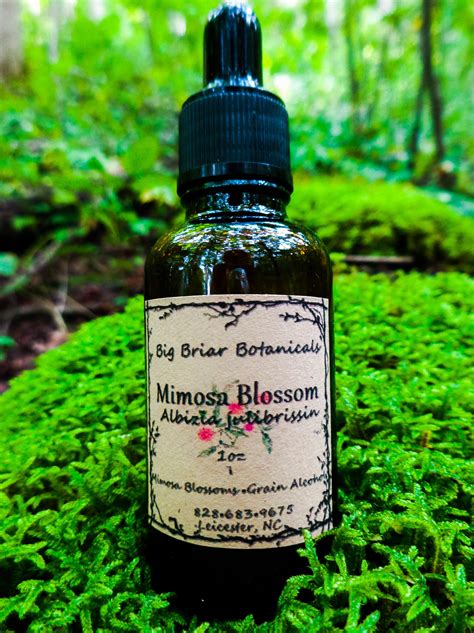 mimosa blossom tincture.